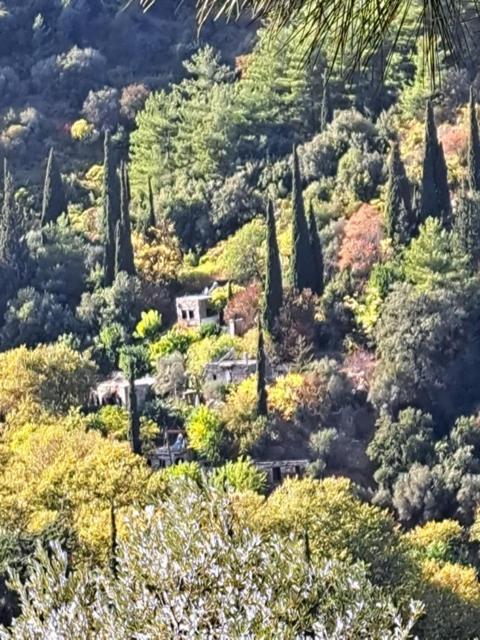 Valeondades Βίλα Valeontádes Εξωτερικό φωτογραφία